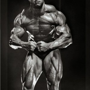 2013 Bodybuilding Images