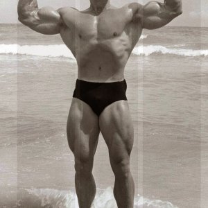 2013 Bodybuilding Images