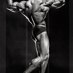 2013 Bodybuilding Images