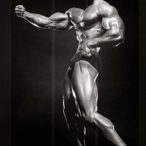 2013 Bodybuilding Images