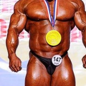 2013 Bodybuilding Images