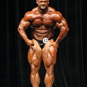 2013 Bodybuilding Images