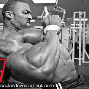 2013 Bodybuilding Images