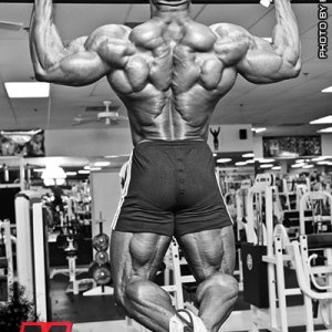 2013 Bodybuilding Images