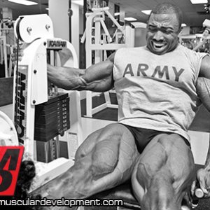 2013 Bodybuilding Images