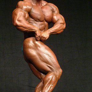 2013 Bodybuilding Images