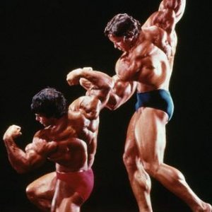 2013 Bodybuilding Images