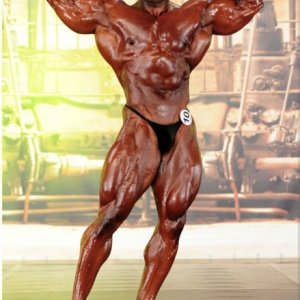 2013 Bodybuilding Images