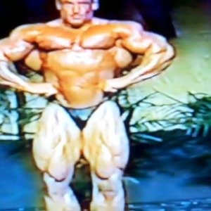 2013 Bodybuilding Images