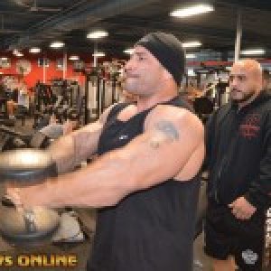 2013 Bodybuilding Images