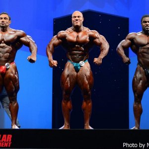 2013 Bodybuilding Images