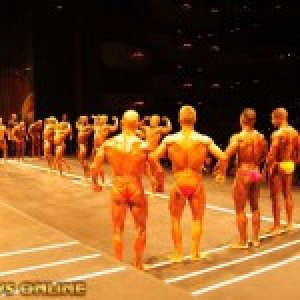 2013 Bodybuilding Images