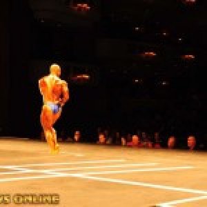 2013 Bodybuilding Images