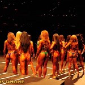 2013 Bodybuilding Images