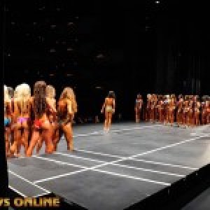 2013 Bodybuilding Images