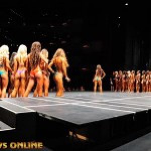 2013 Bodybuilding Images