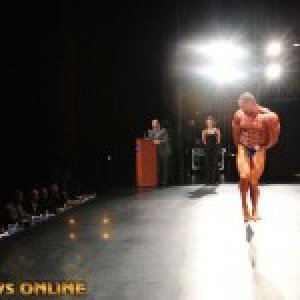 2013 Bodybuilding Images