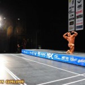 2013 Bodybuilding Images