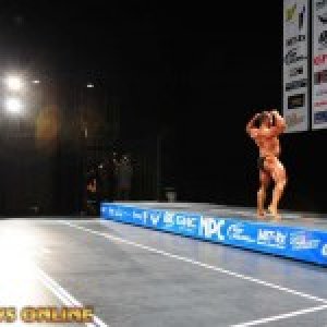 2013 Bodybuilding Images