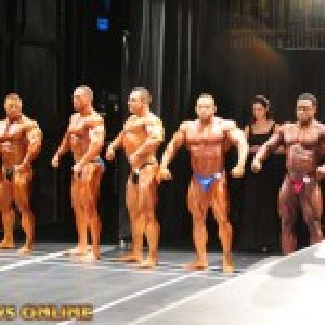 2013 Bodybuilding Images