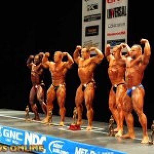 2013 Bodybuilding Images