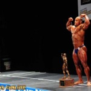 2013 Bodybuilding Images