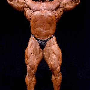 2013 Bodybuilding Images