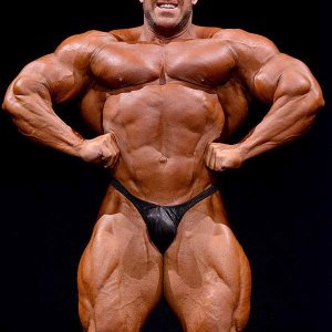 2013 Bodybuilding Images