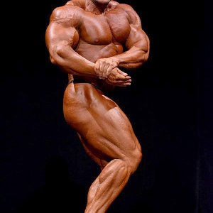 2013 Bodybuilding Images