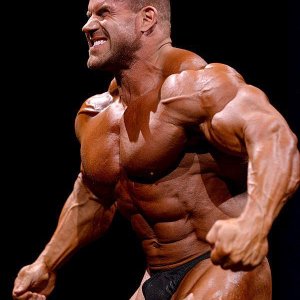 2013 Bodybuilding Images