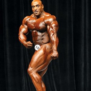 2013 Bodybuilding Images