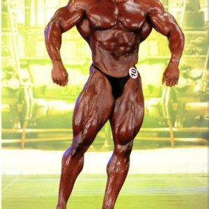 2013 Bodybuilding Images