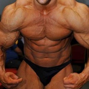 2013 Bodybuilding Images