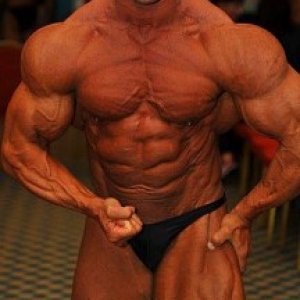 2013 Bodybuilding Images