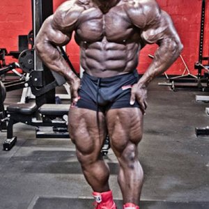 2013 Bodybuilding Images