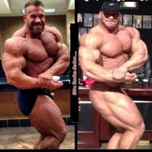 2013 Bodybuilding Images