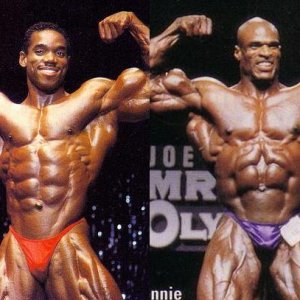 2013 Bodybuilding Images