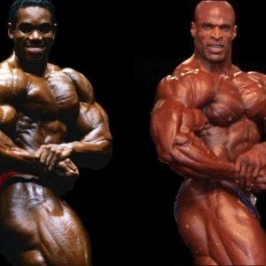 2013 Bodybuilding Images