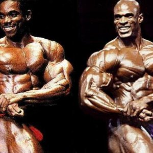 2013 Bodybuilding Images