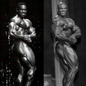 2013 Bodybuilding Images