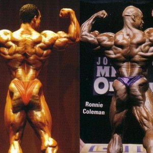 2013 Bodybuilding Images