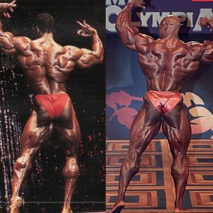 2013 Bodybuilding Images