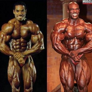 2013 Bodybuilding Images