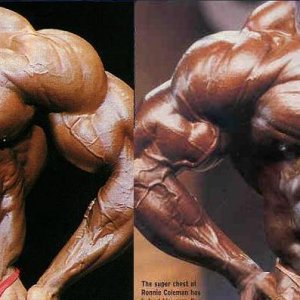 2013 Bodybuilding Images