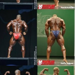 2013 Bodybuilding Images