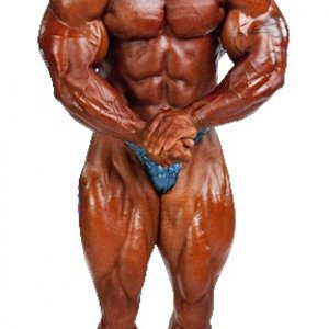 2013 Bodybuilding Images