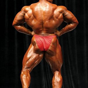 2013 Bodybuilding Images