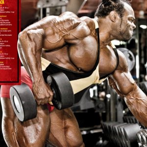 2013 Bodybuilding Images