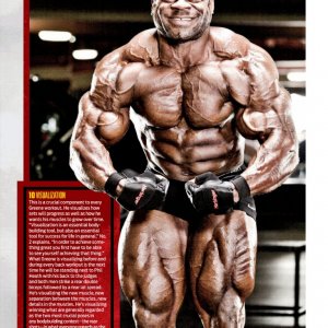 2013 Bodybuilding Images