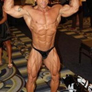 2013 Bodybuilding Images